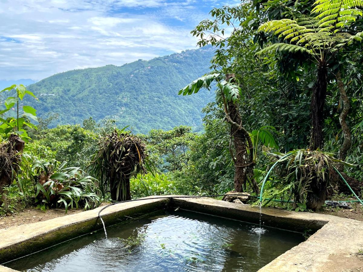 Hosanna Homestay Darjeeling  Eksteriør bilde