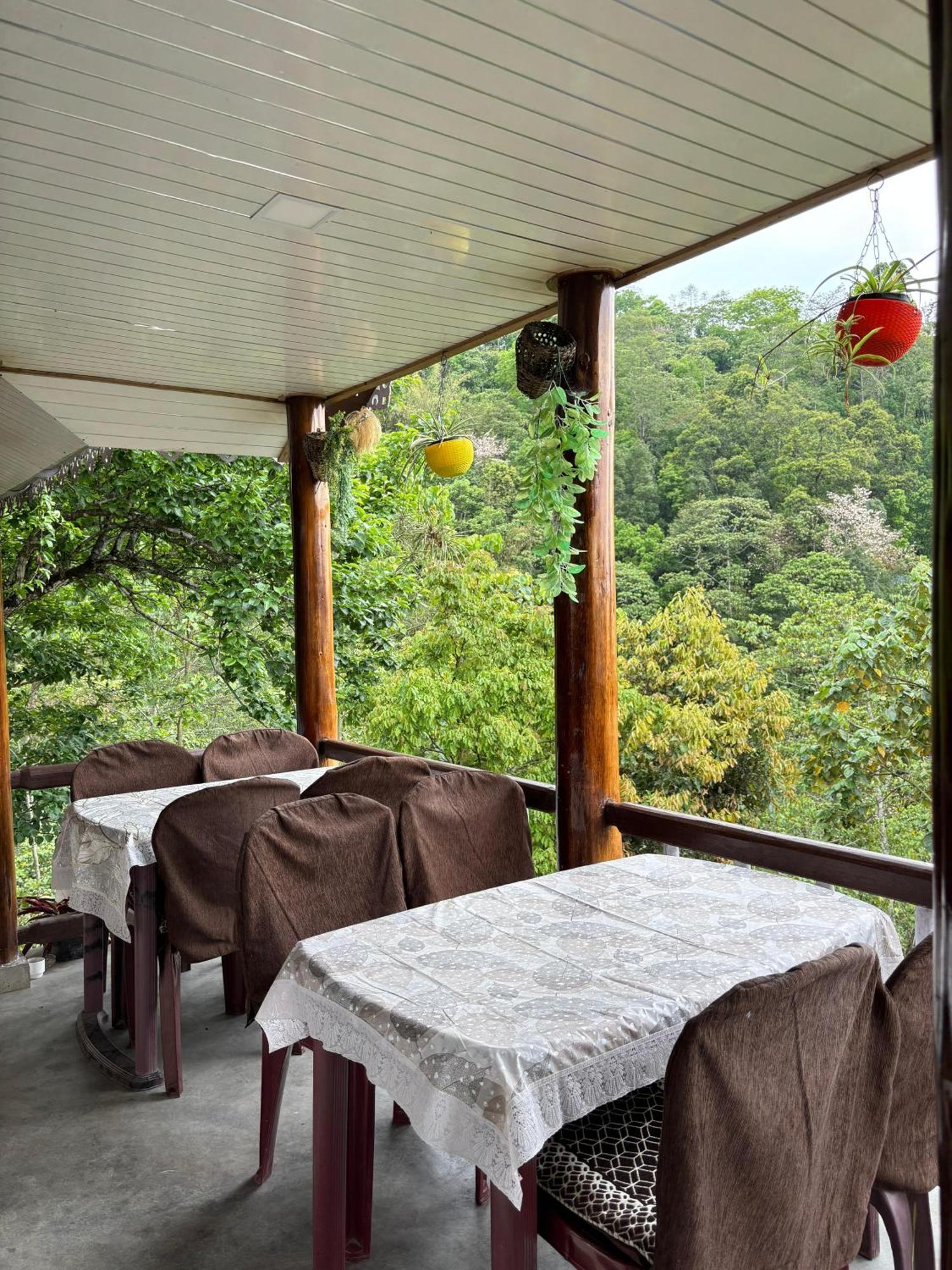 Hosanna Homestay Darjeeling  Eksteriør bilde