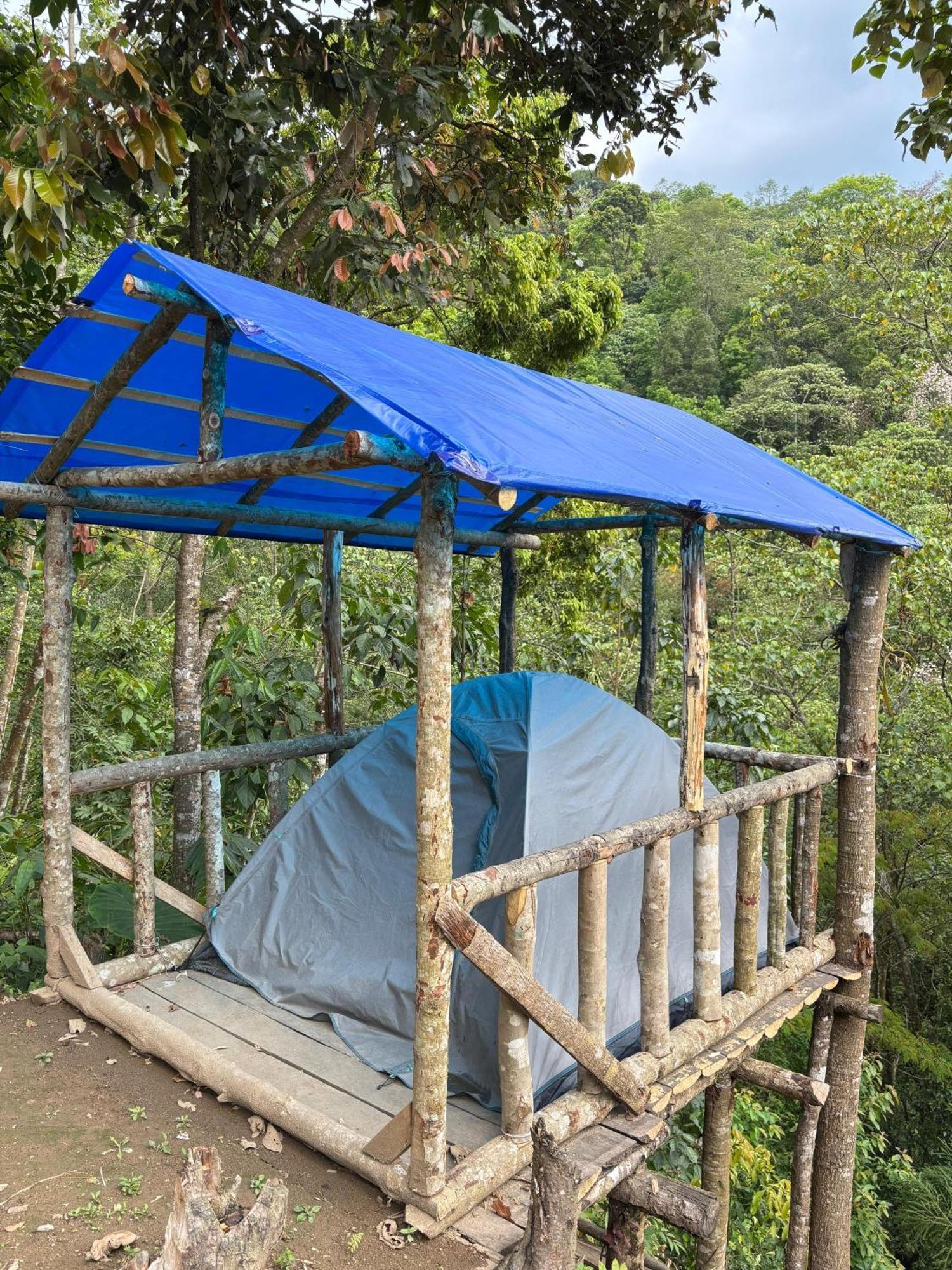Hosanna Homestay Darjeeling  Eksteriør bilde
